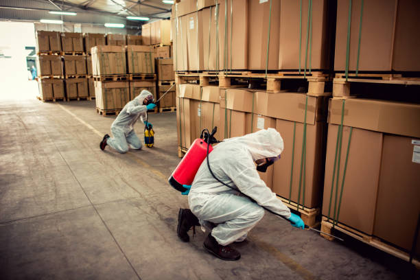 Best Local Pest Control Services  in Marissa, IL