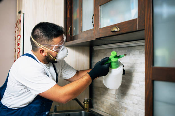 Best Bed Bug Extermination  in Marissa, IL