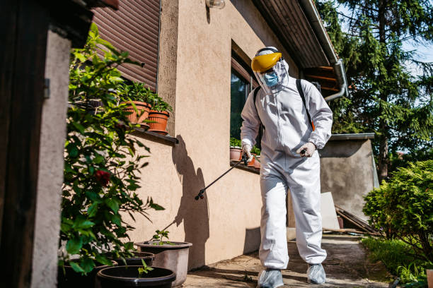 Best Commercial Pest Control Services  in Marissa, IL