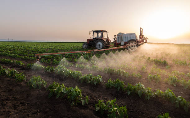 Best Insect Control  in Marissa, IL