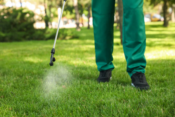 Best Cockroach Control Services  in Marissa, IL