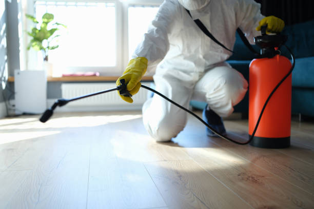 Best Flea Control Services  in Marissa, IL
