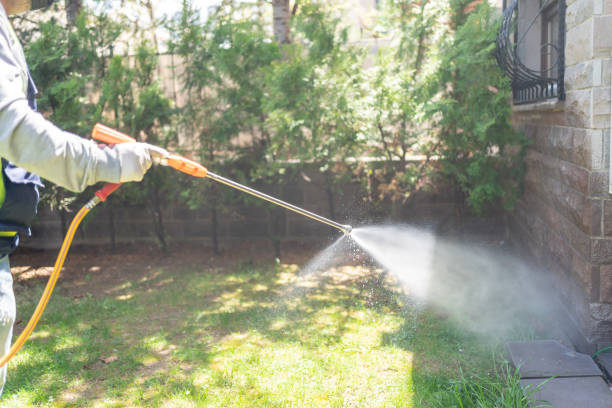 Best Residential Pest Control  in Marissa, IL