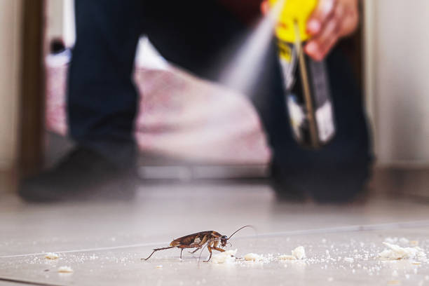 Best Mosquito Control Services  in Marissa, IL