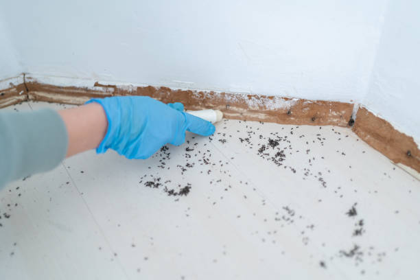 Best Exterminator Services  in Marissa, IL